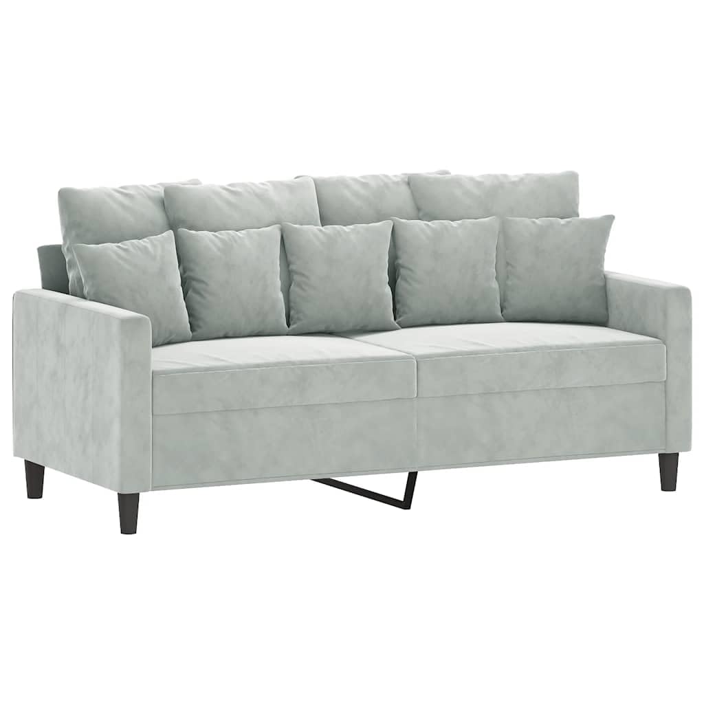 Light Gray Velvet 2-Seater Sofa X545561