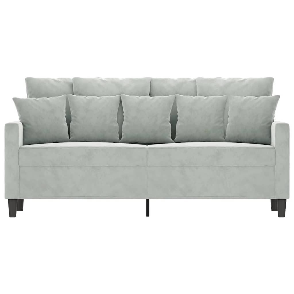 Light Gray Velvet 2-Seater Sofa X545561