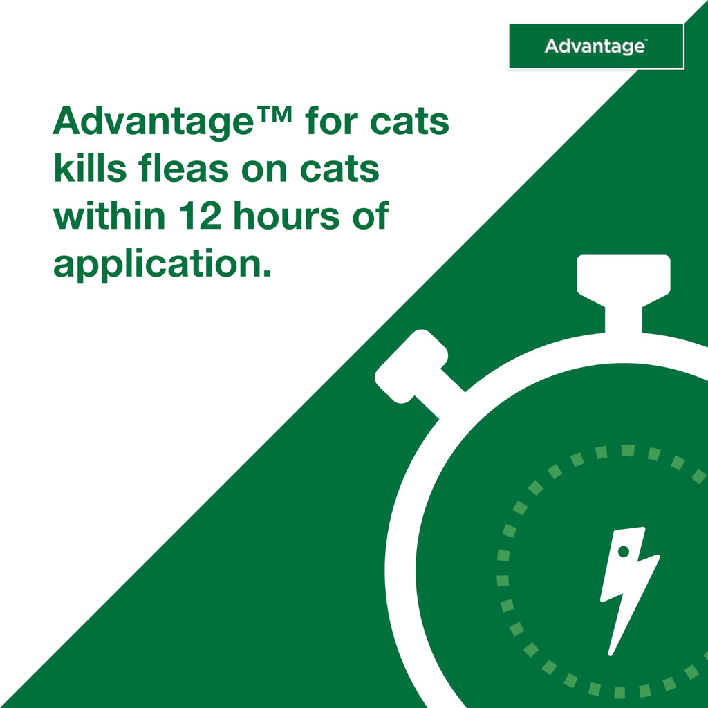 Topical Cat Flea Treatment and Prevention for Small Cats 2-9 lbs M961638