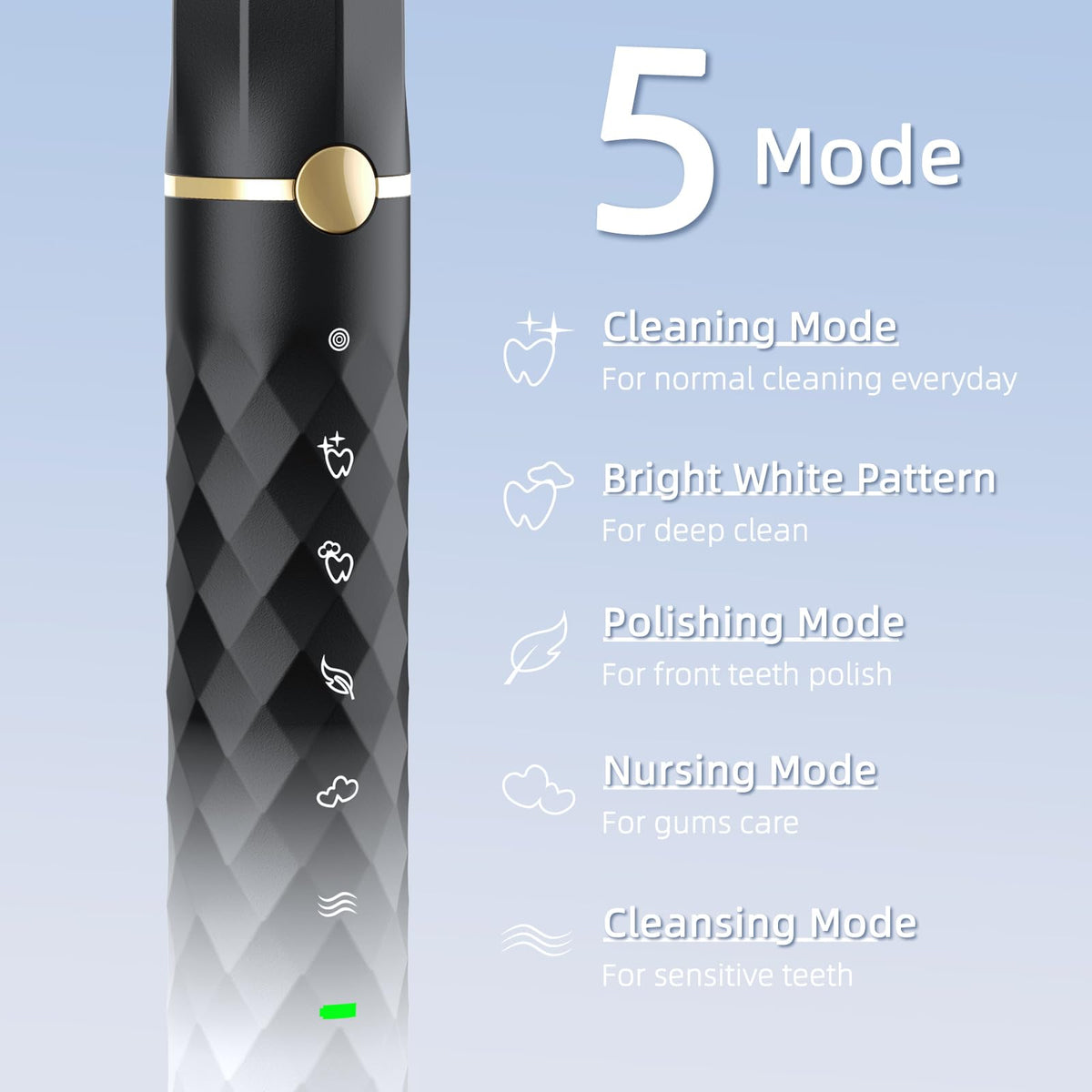 Black White Sonic Electric Toothbrush Set with 10 Brush Heads and Travel Case V103864
