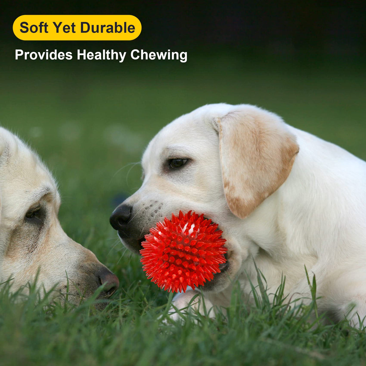 Squeaky Dog Toy Balls BPA Free Non-Toxic R623