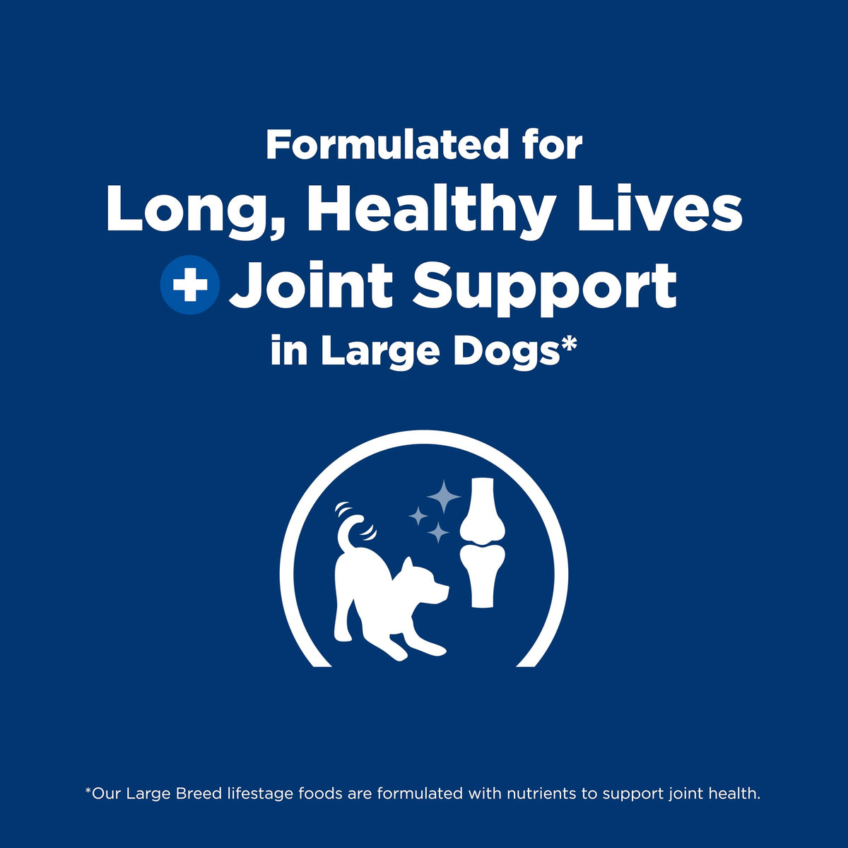 Large Breed Dry Dog Food Z855745