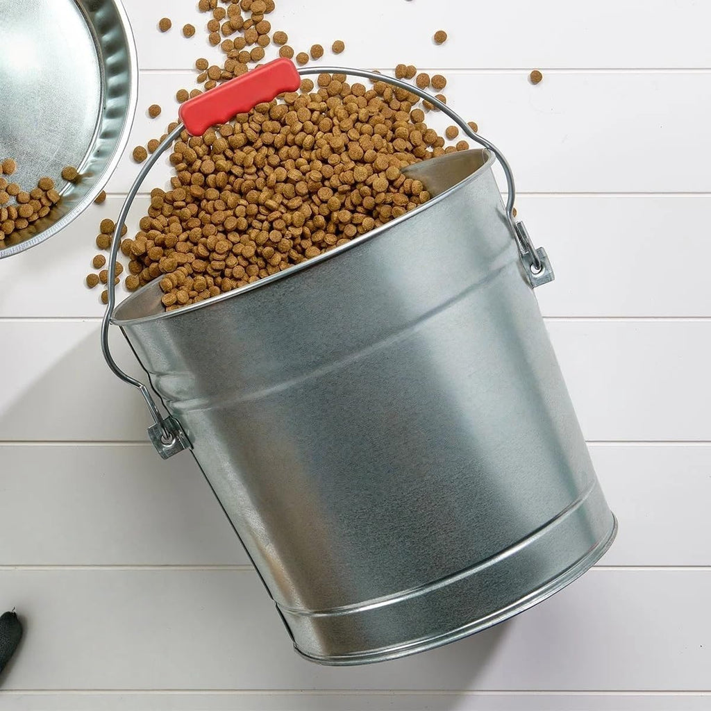 6-Gallon Galvanized Steel Storage Can with Locking Lid E29879