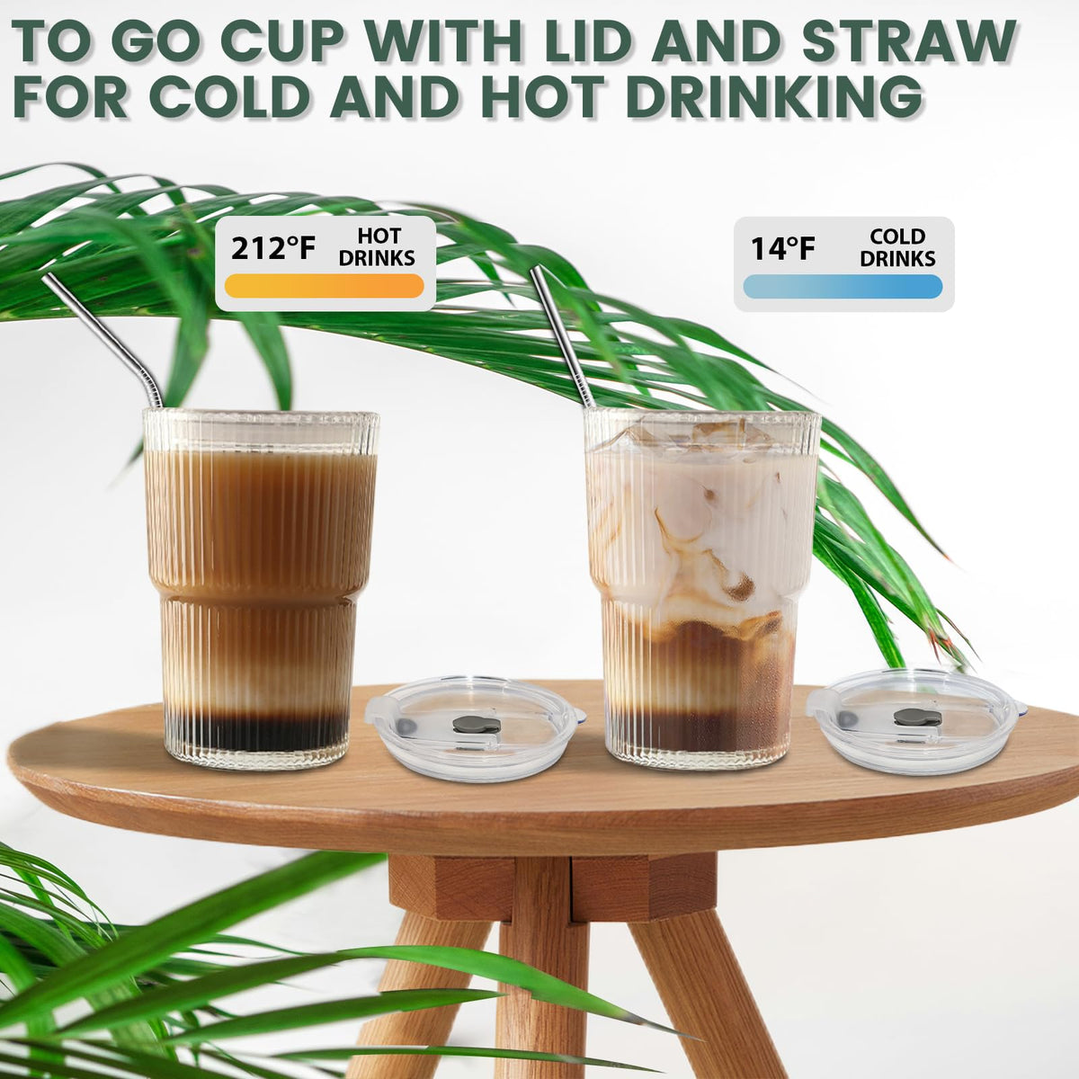 16 OZ Clear Plastic Iced Coffee Cups with Lids and Straws 2 Pcs M752948