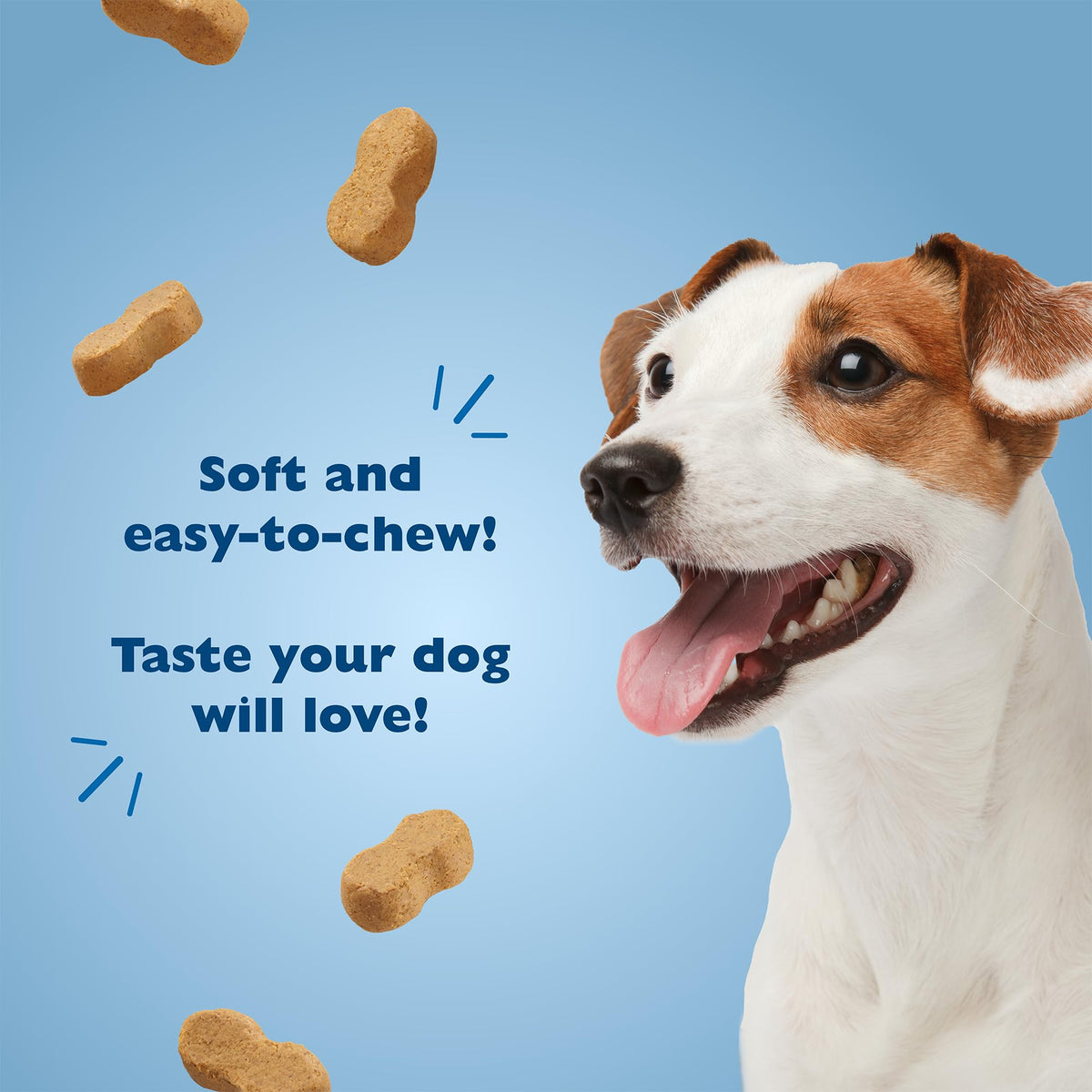 Peanut Butter Flavor Dog Treats 10oz 4-Pack X361749