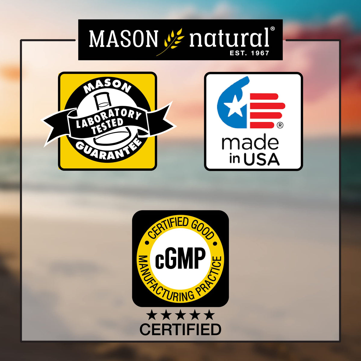 Omega-3 Fish Oil 1000mg EPA DHA I55960
