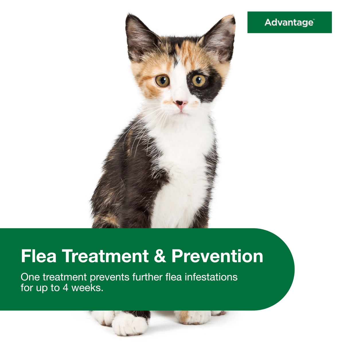 Topical Cat Flea Treatment and Prevention for Small Cats 2-9 lbs M961638