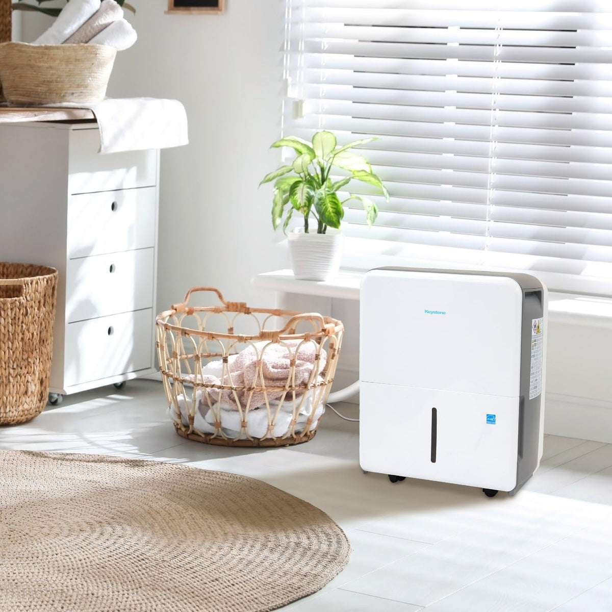 50 Pint Dehumidifier with Pump H96101