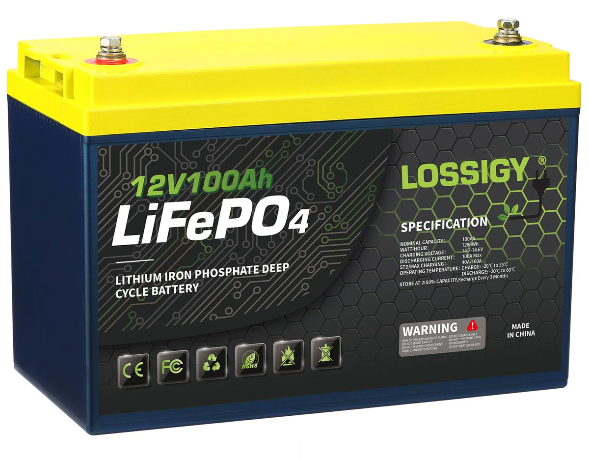 12 Volt 100Ah LiFePO4 Deep Cycle Battery E68539