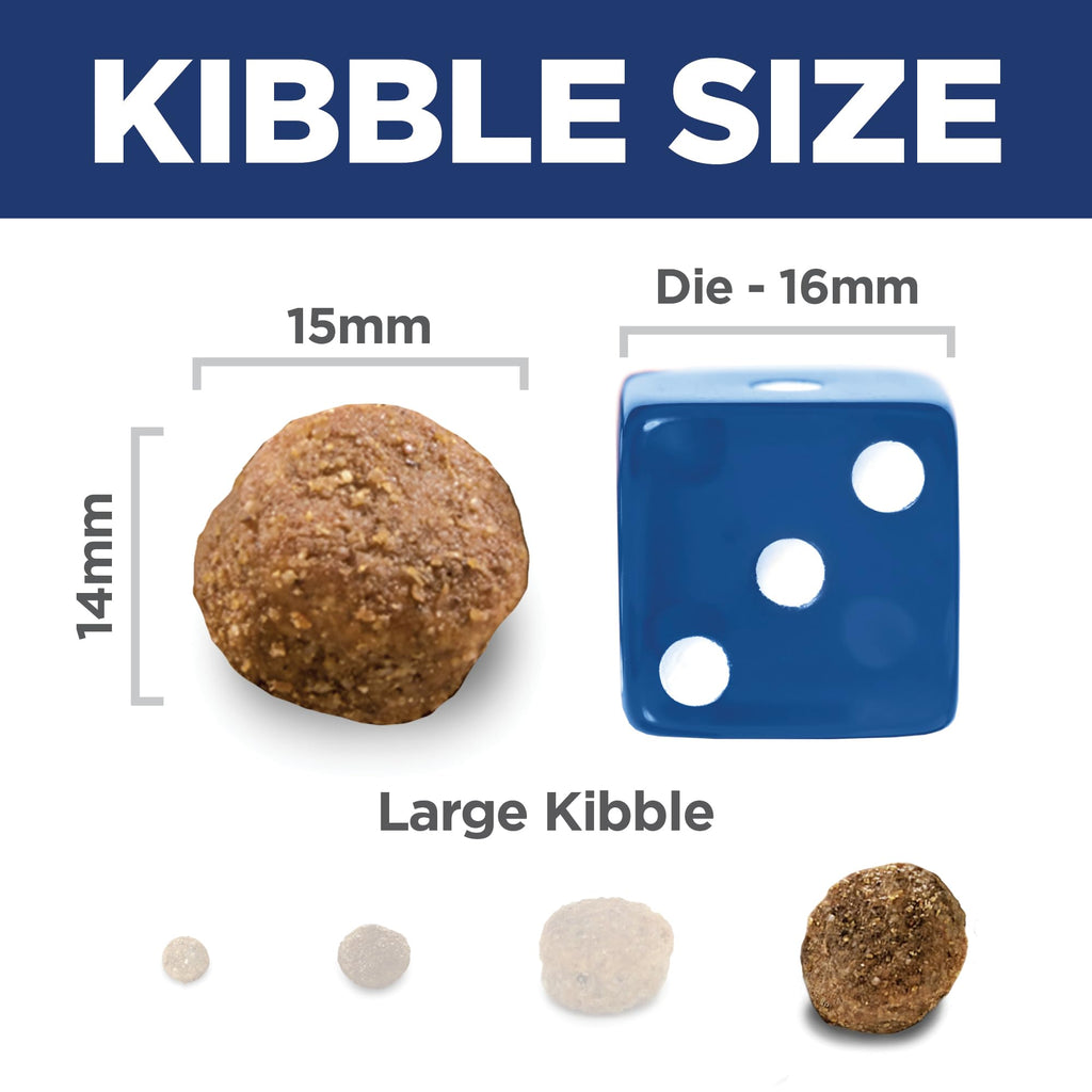 Large Breed Dry Dog Food Z855745