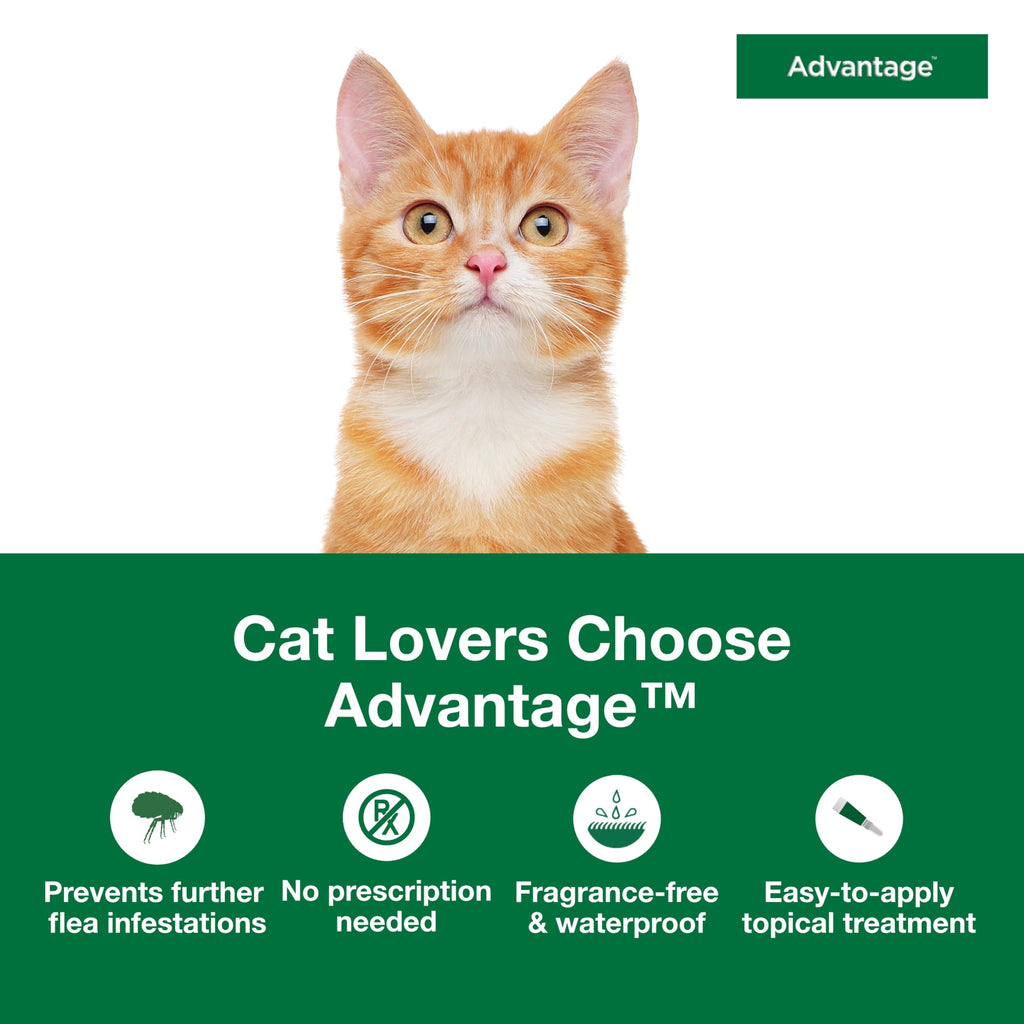 Topical Cat Flea Treatment and Prevention for Small Cats 2-9 lbs M961638