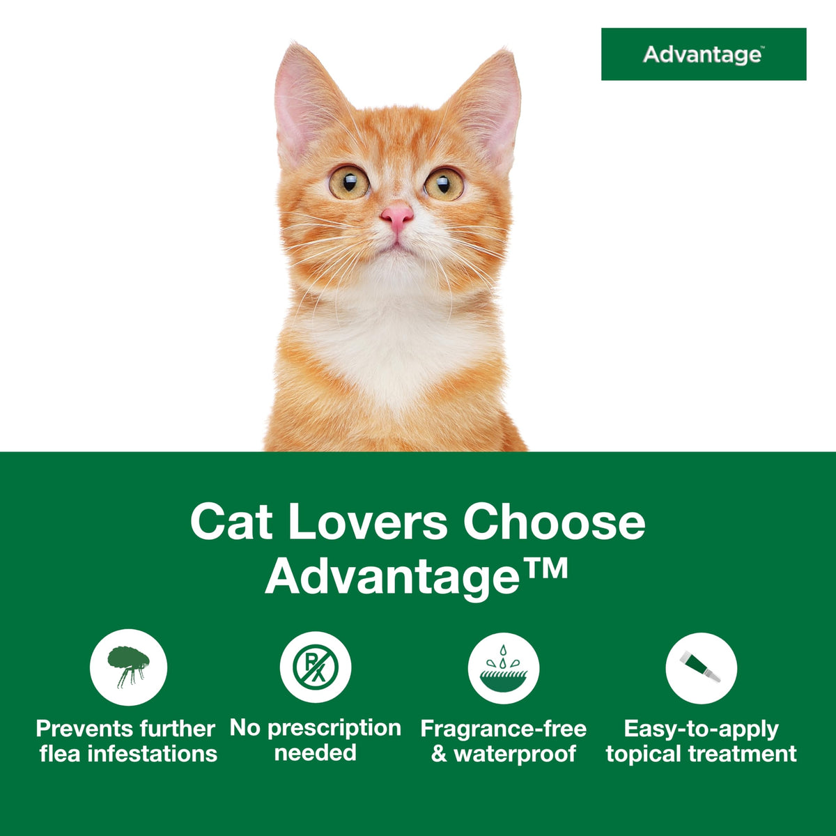 Topical Cat Flea Treatment and Prevention for Small Cats 2-9 lbs M961638