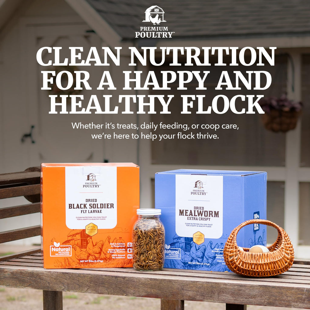 Mealworms for Chickens & Wild Birds, 5lb, 4-Pack D179