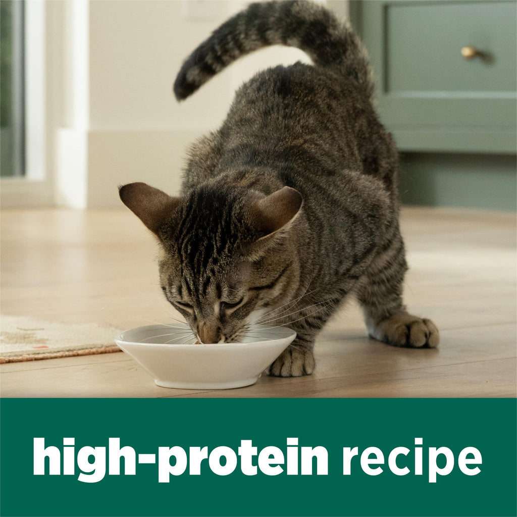 High Protein Dry Cat Food, 13 lb Bags E69948