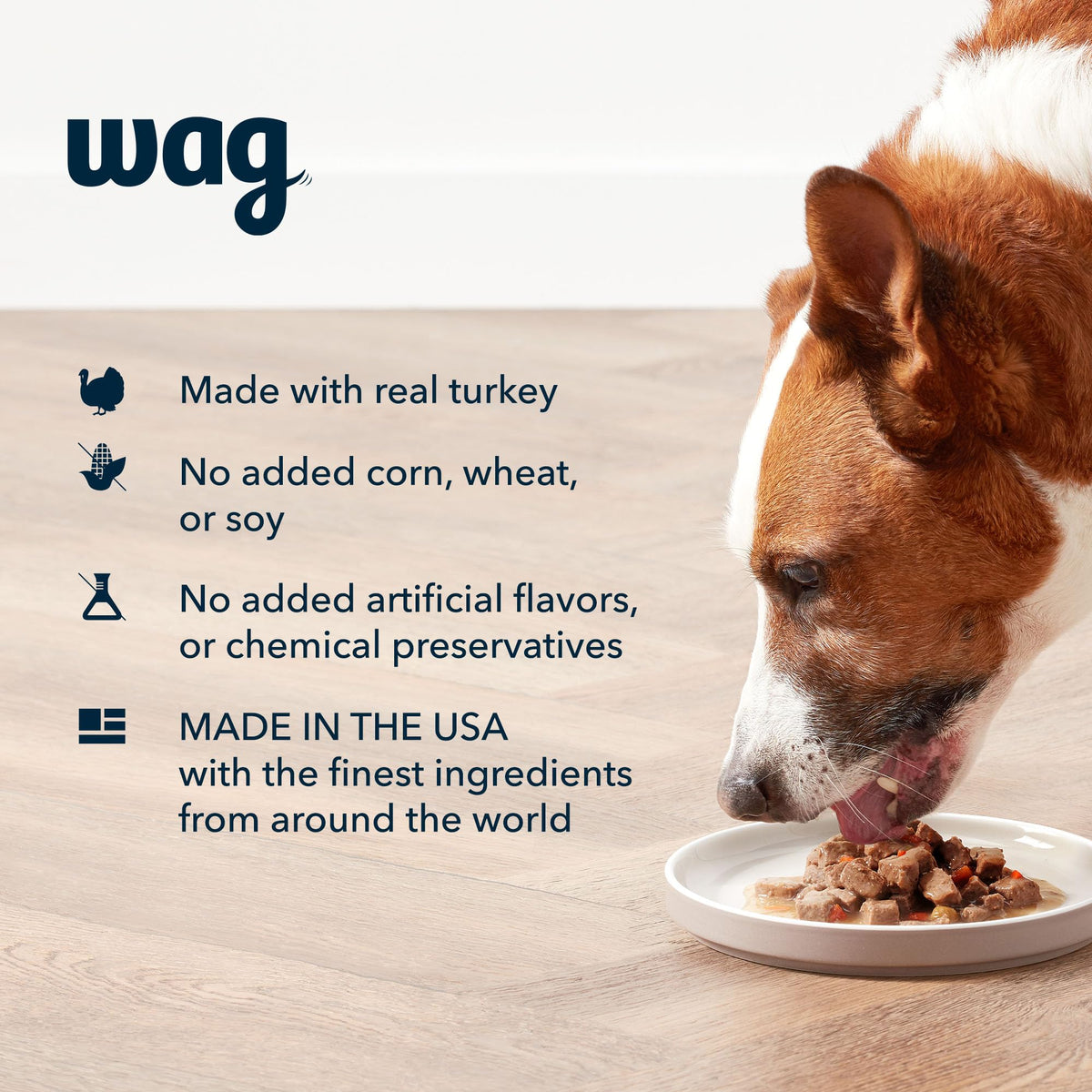 Turkey & Sweet Potato Recipe Canned Dog Food 13.2 oz Can Pack of 12 B2631