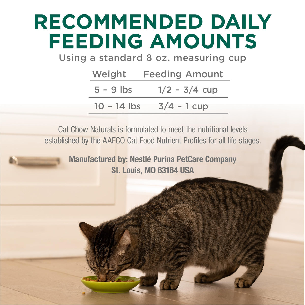 High Protein Dry Cat Food, 13 lb Bags E69948