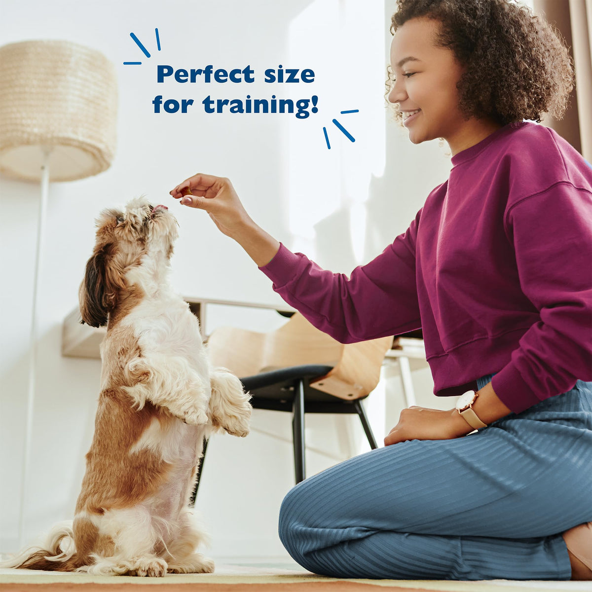 Soft Training Treats for Dogs with Chicken Liver 20oz 2-Pack B506042