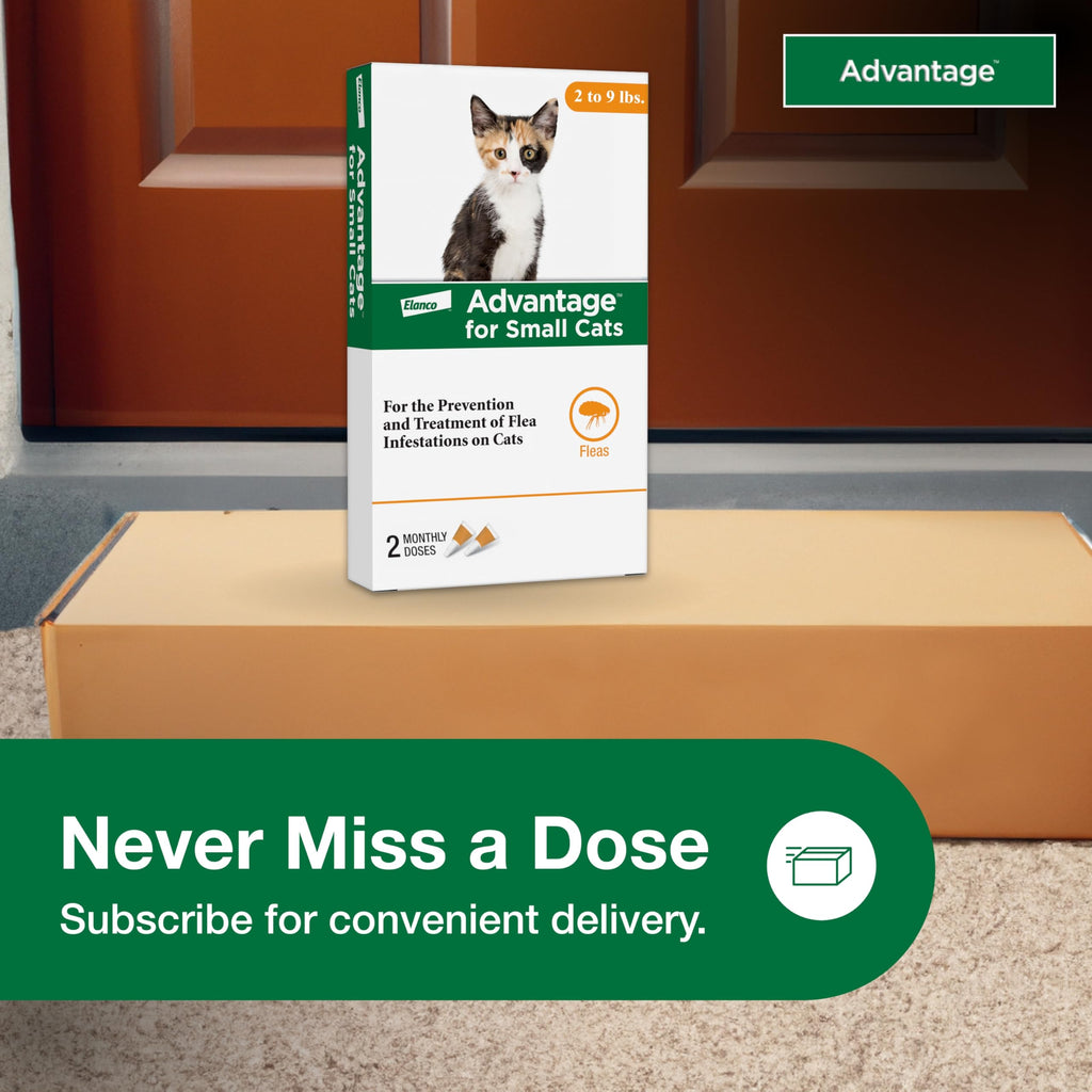 Topical Cat Flea Treatment and Prevention for Small Cats 2-9 lbs M961638