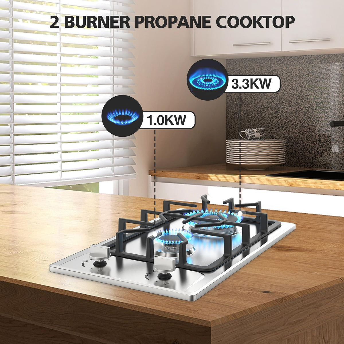 2 Burner Propane Gas Cooktop Stainless Steel R478428