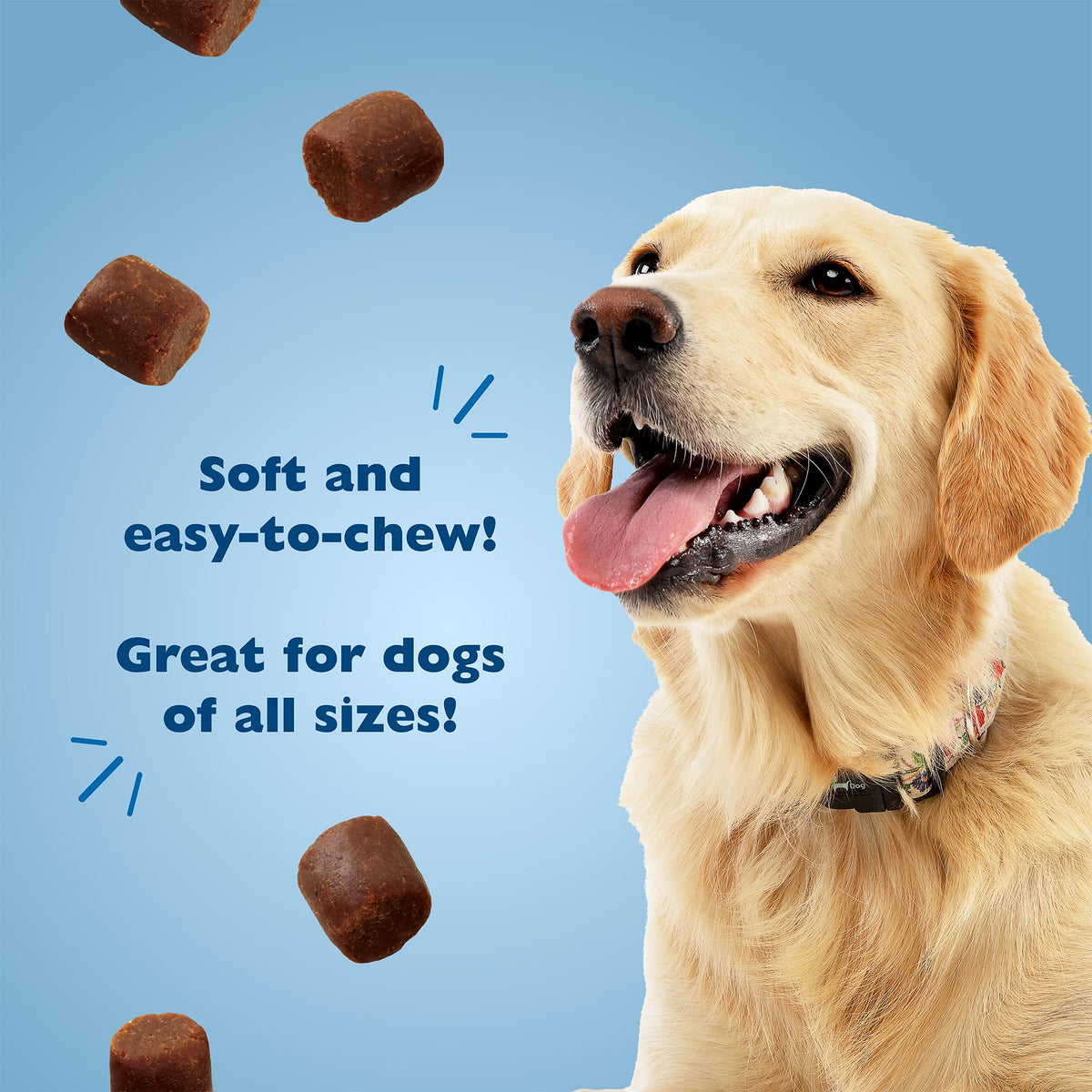 Soft Training Treats for Dogs with Chicken Liver 20oz 2-Pack B506042
