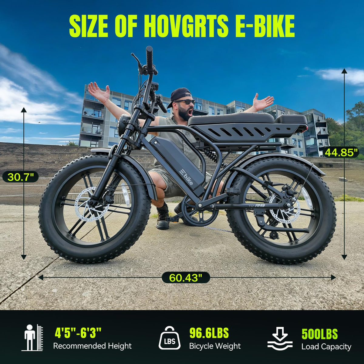 Electric Bike 48V 15Ah Battery 1500W Peak Motor 20 4.0 Fat Tire M98353