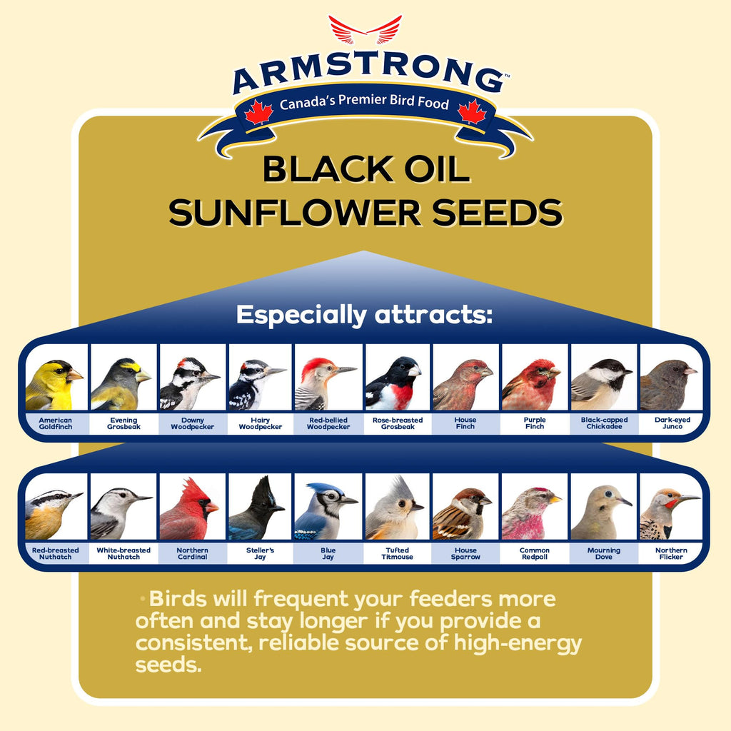 Black Oil Sunflower Bird Seed 25 Pounds Y858323