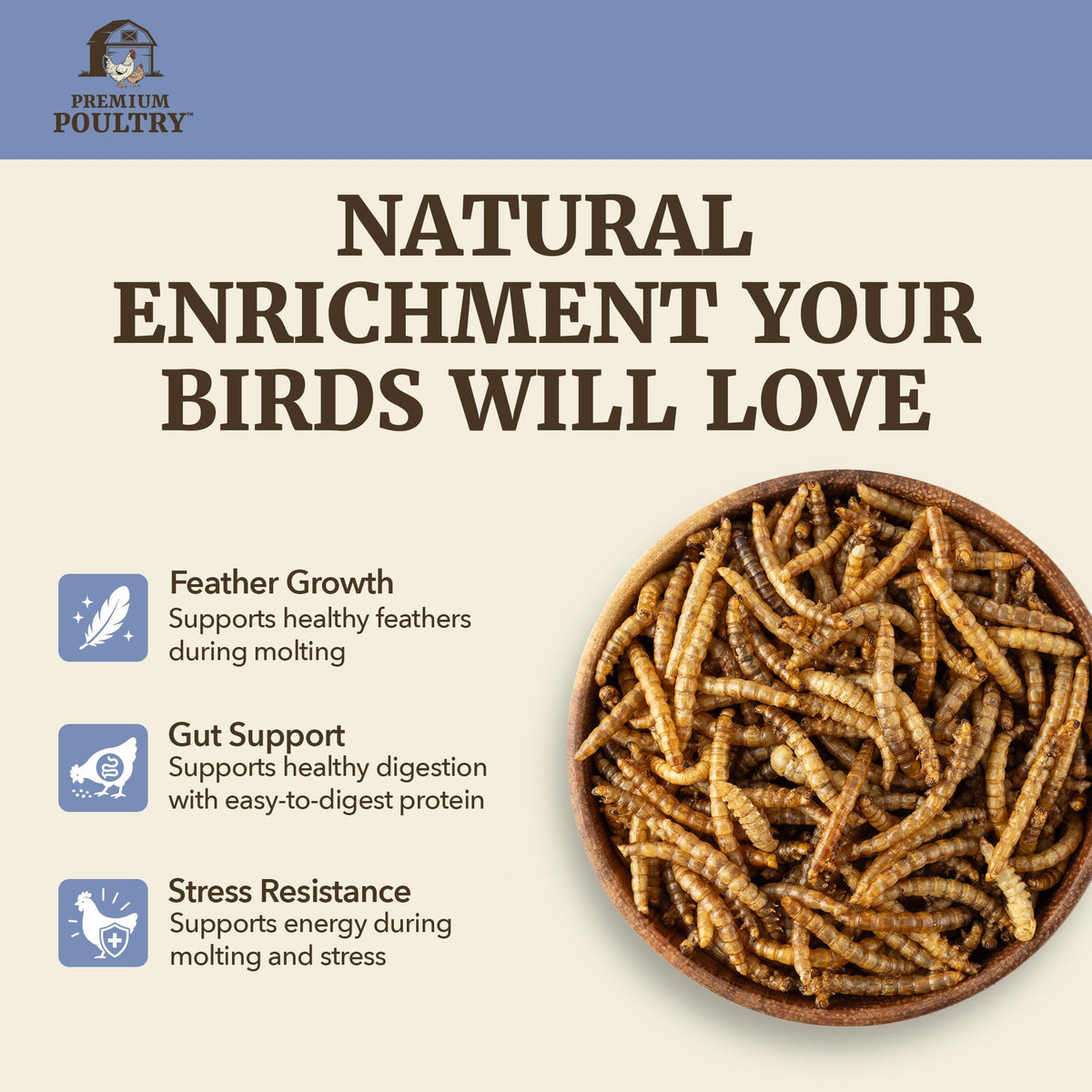 Mealworms for Chickens & Wild Birds, 5lb, 4-Pack D179