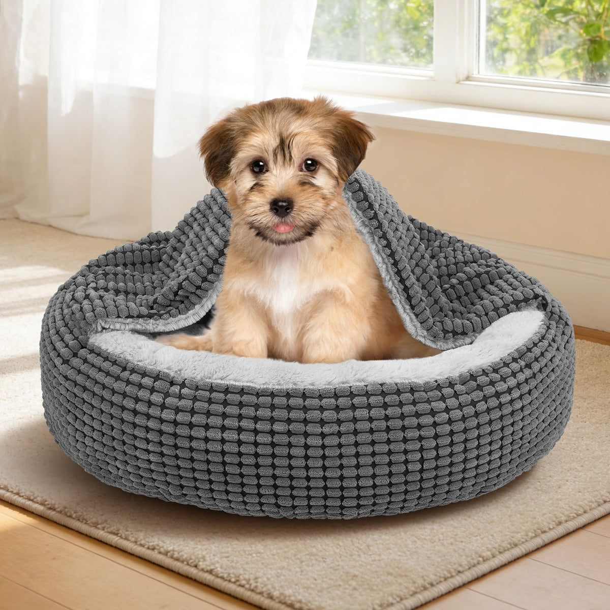 Small Dog Bed with Attached Blanket, 23inch S463751
