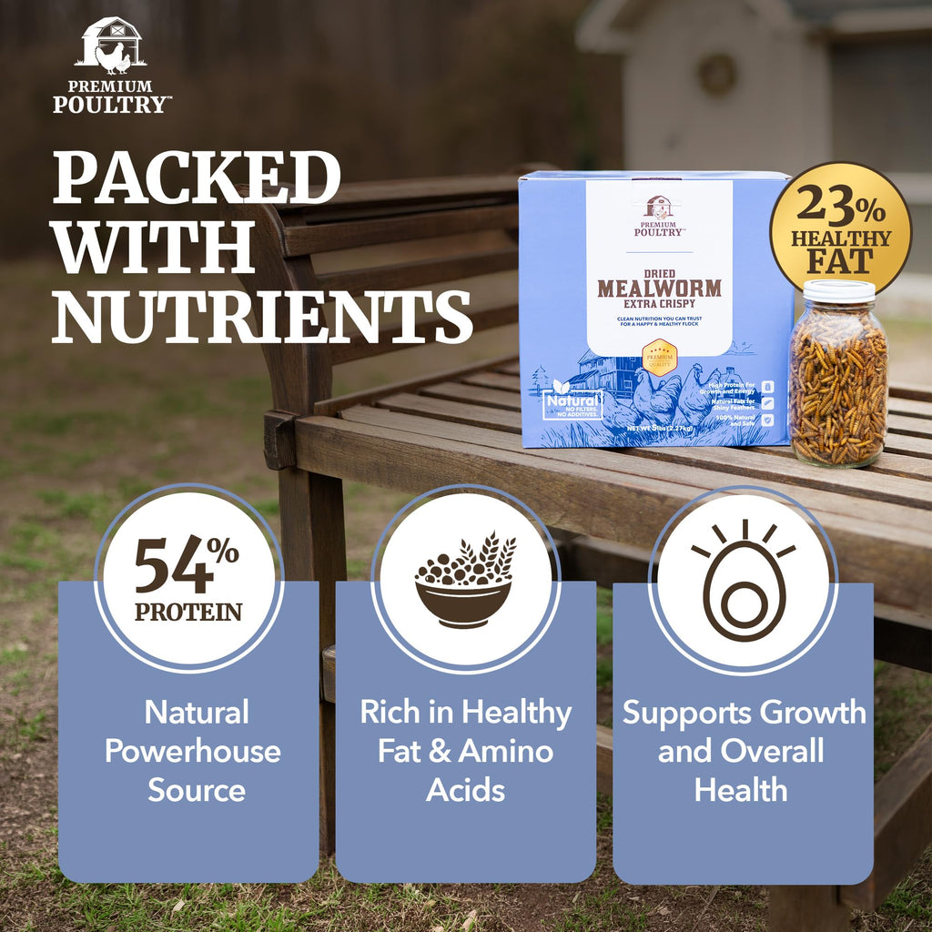 Mealworms for Chickens & Wild Birds, 5lb, 4-Pack D179