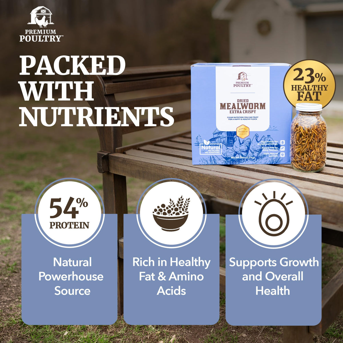 Mealworms for Chickens & Wild Birds, 5lb, 4-Pack D179