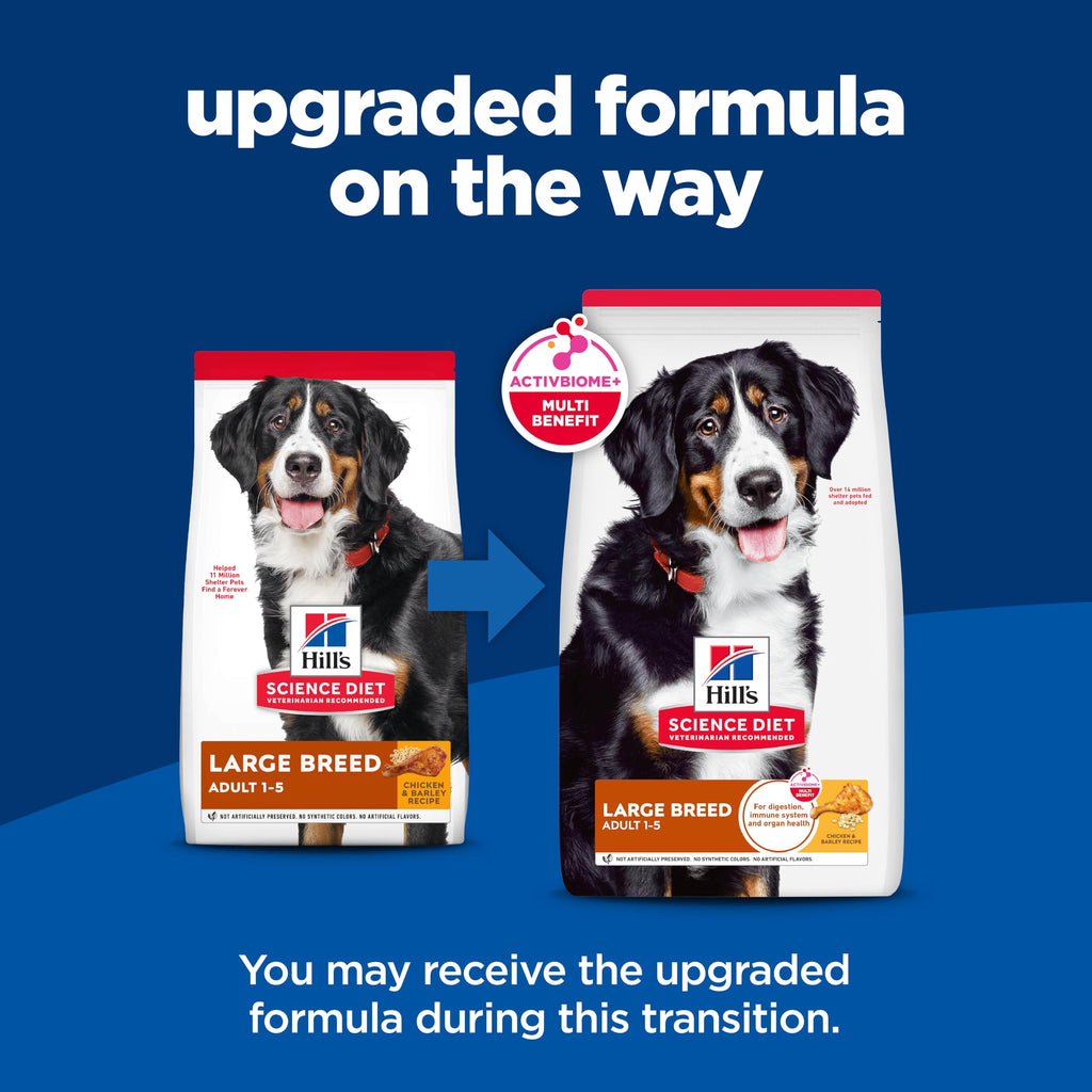 Large Breed Dry Dog Food Z855745