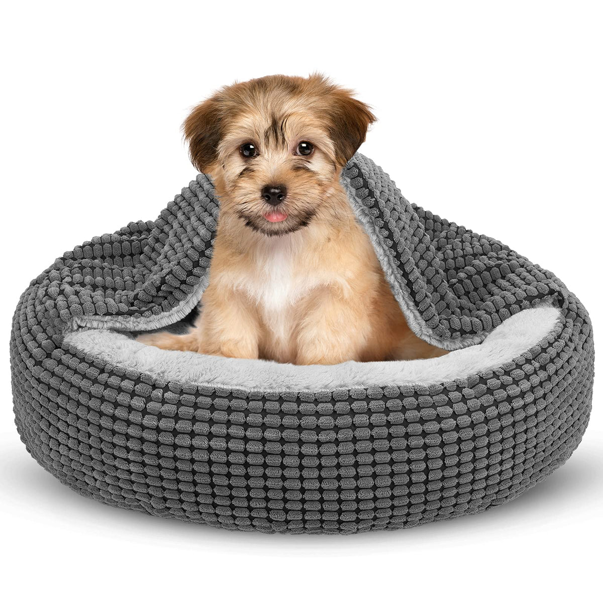 Small Dog Bed with Attached Blanket, 23inch S463751