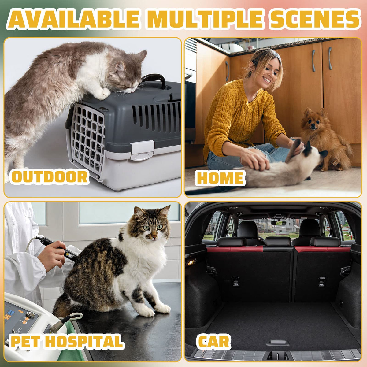 50 Pack Disposable Cat Litter Box M5460