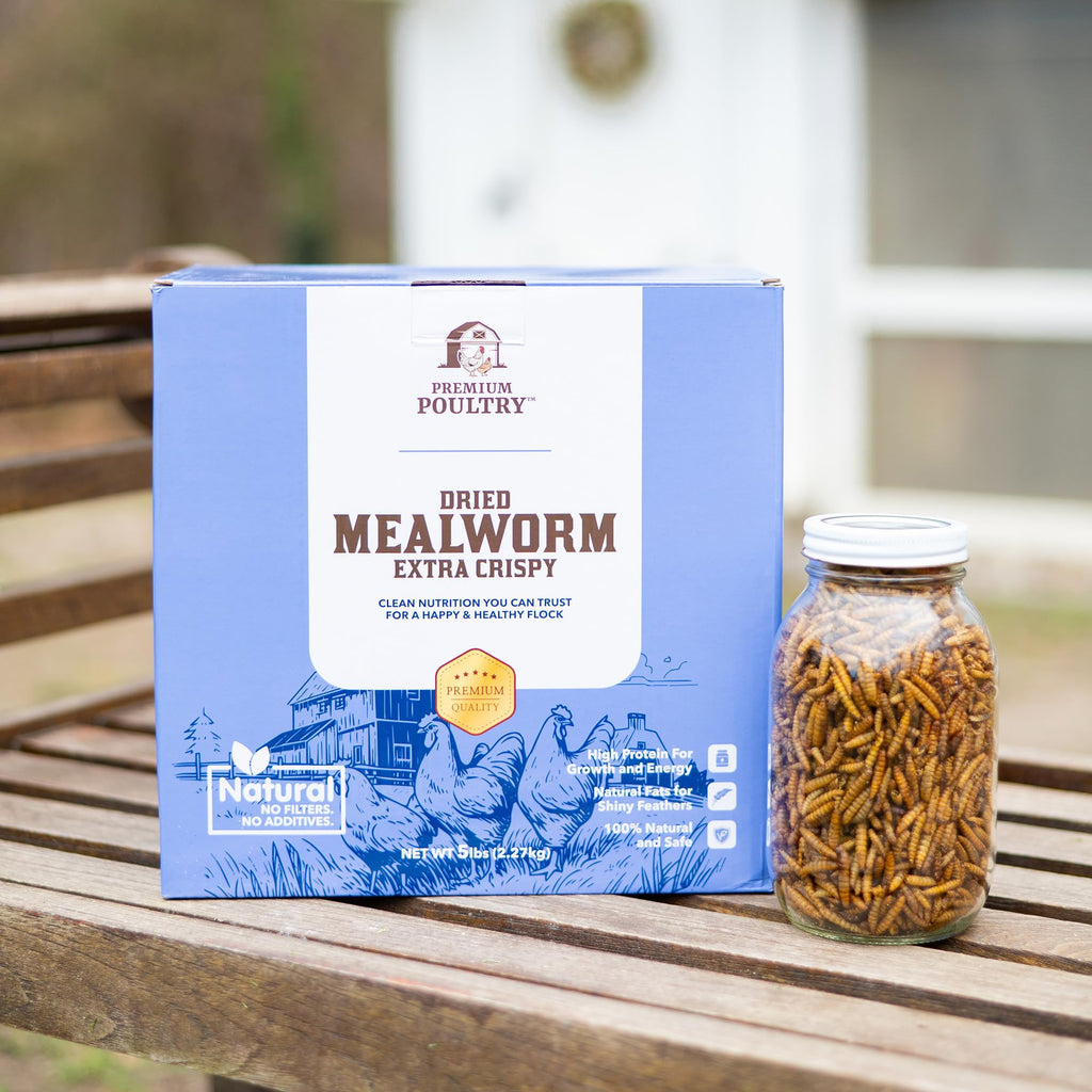 Mealworms for Chickens & Wild Birds, 5lb, 4-Pack D179
