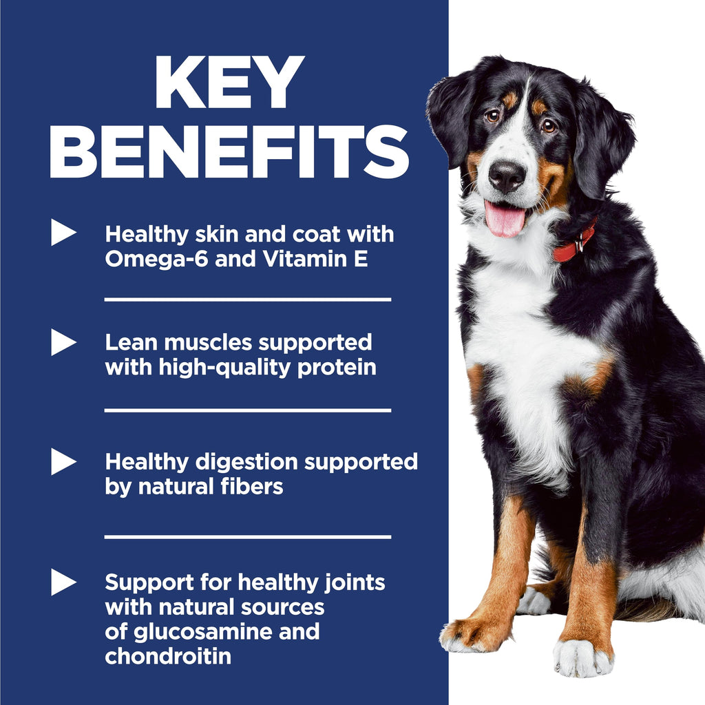Large Breed Dry Dog Food Z855745
