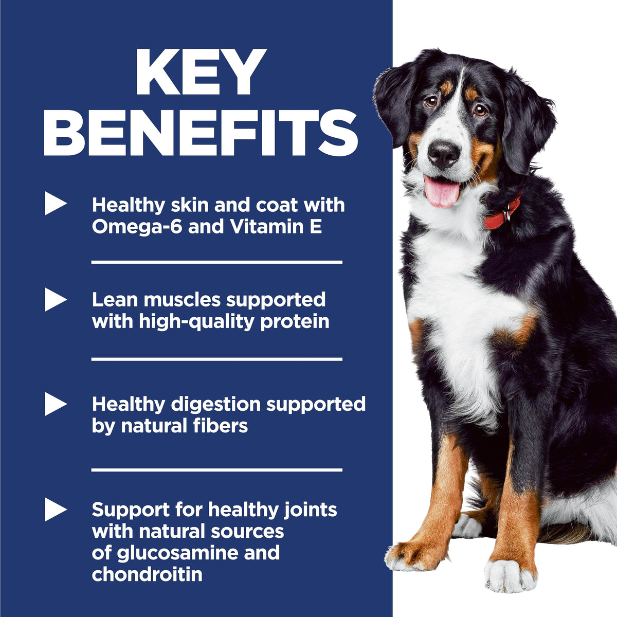 Large Breed Dry Dog Food Z855745
