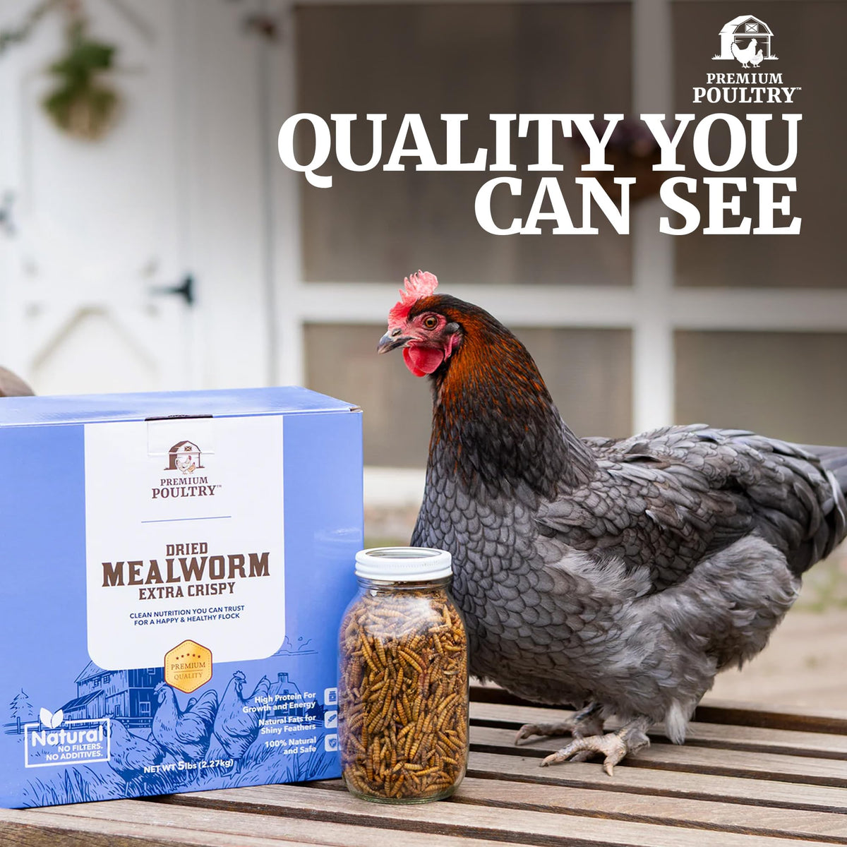 Mealworms for Chickens & Wild Birds, 5lb, 4-Pack D179