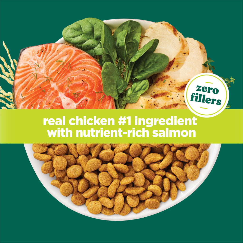 High Protein Dry Cat Food, 13 lb Bags E69948