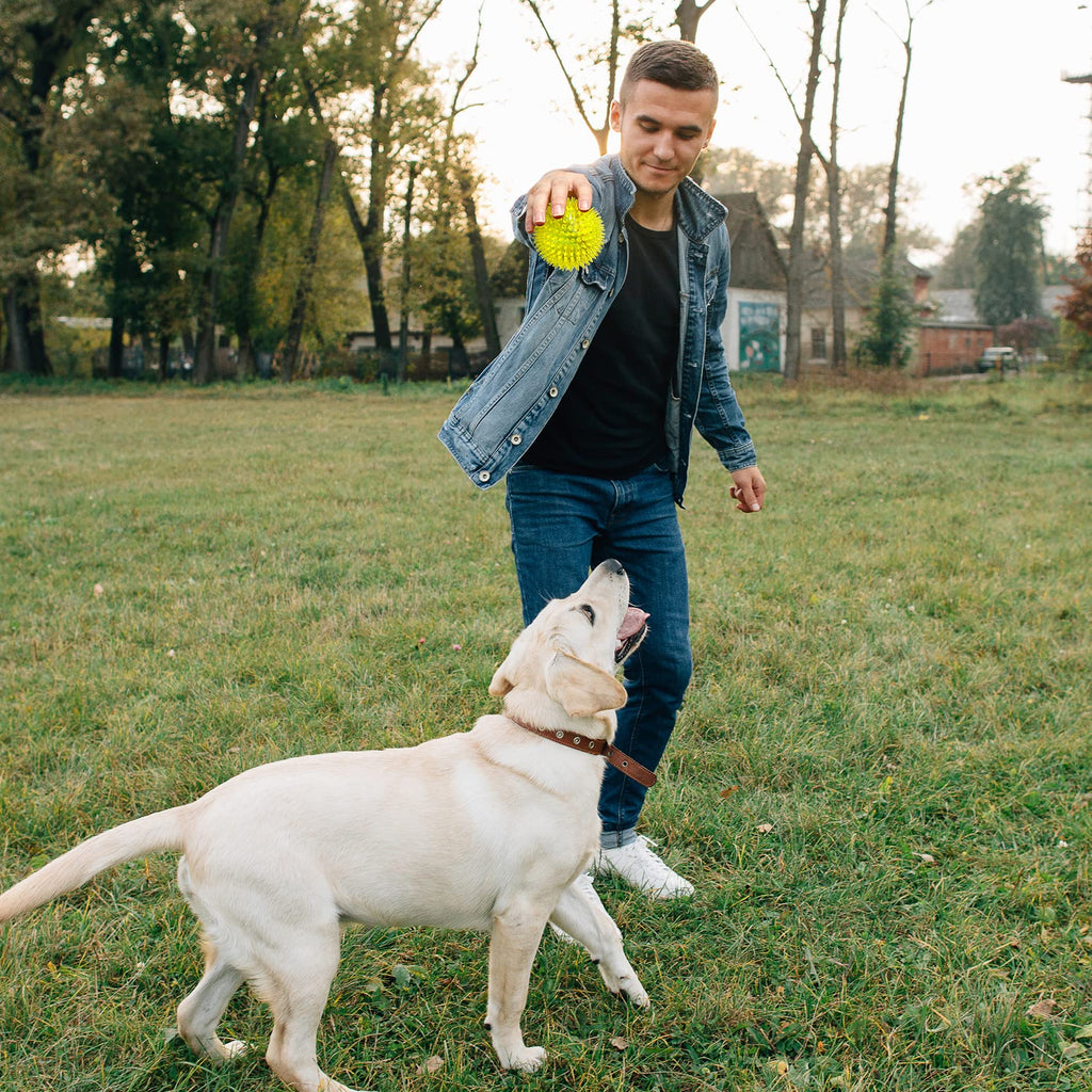 Squeaky Dog Toy Balls BPA Free Non-Toxic R623